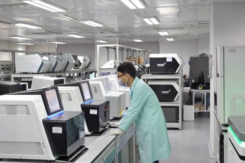 清明節(jié)放假安排來(lái)啦 新冠病毒疫苗即將進(jìn)入動(dòng)物攻毒保護(hù)試驗(yàn)